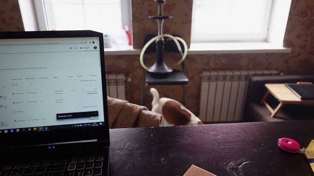 День. Двор. Шуруповерт. Калитка. смотреть онлайн