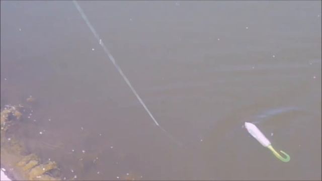 Поверхностные Джеркбейты с хвостом