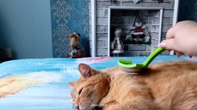 И любим и царапает... смотреть онлайн