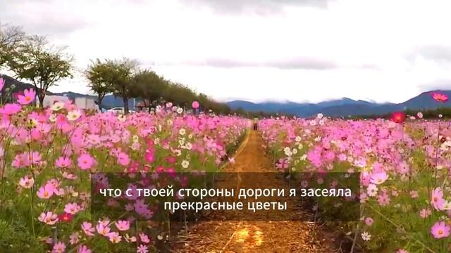 Притча о Кувшине смотреть онлайн