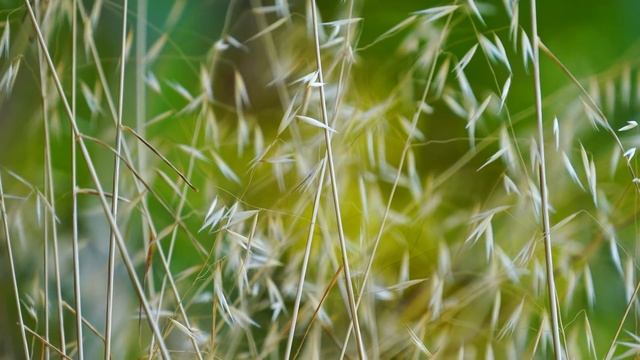 УЗНАЙ СВОЮ ГЛАВНУЮ ЗАДАЧУ НА ЗЕМЛЕ!!! ЭТИ СЛОВА МГНОВЕННО ОЧИСТЯТ СОЗНАНИЕ И ИСЦЕЛЯТ ВАШУ ДУШУ смотреть онлайн