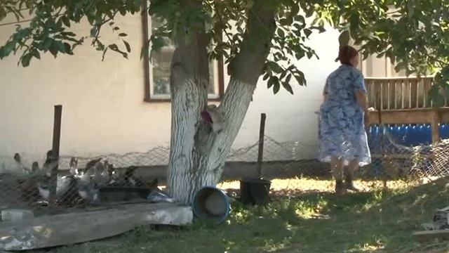 Акценти на 18 08 16