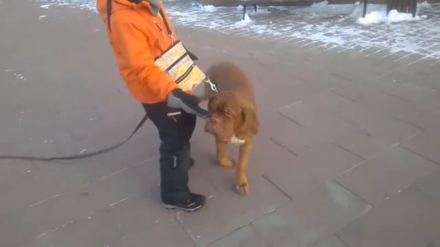 Работают дети: Комплекс "Движения" смотреть онлайн