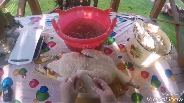 Ощипывание мускусной утки.Вес тушки в 88 дней смотреть онлайн