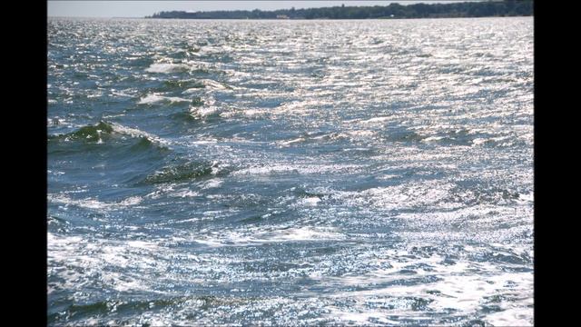 O suno mia en Esperanto Valdas Striužas Jurgita Umaraitė смотреть онлайн