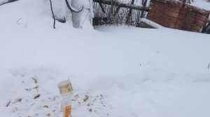 Это самый МОЩНЫЙ газовый пистолет. Обзор пистолета МР651кс. Стреляем по банкам и стеклу с пневматик