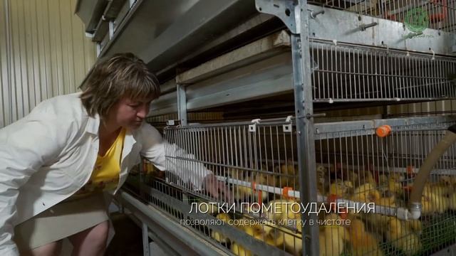 Компании ООО "Башкирcкий Гусь" смотреть онлайн