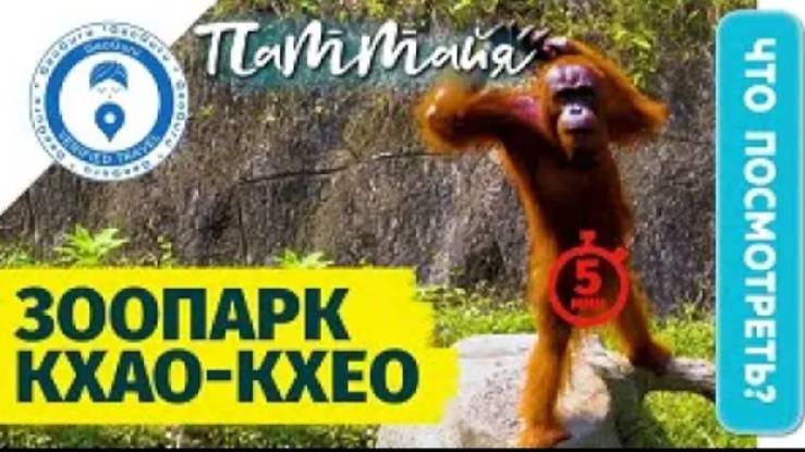 Зоопарк Кхао Кхео и остров Лемуров смотреть онлайн