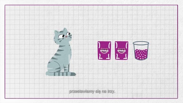 Kiedy Kocięta Mogą Zacząć Jeść Karmę Dla Doroslych