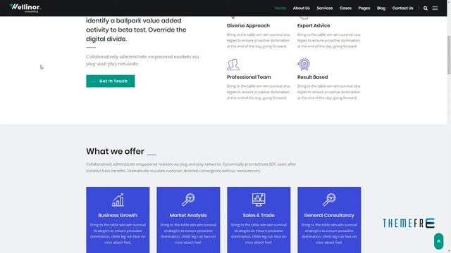 Wellinor - Business Consulting WordPress Theme Naiche Nick смотреть онлайн