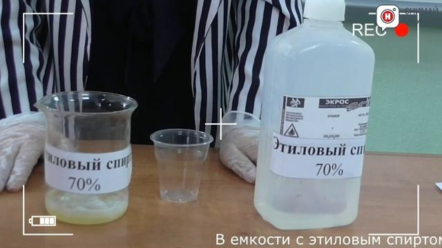 Влияние спиртных напитков на структуру белка смотреть онлайн
