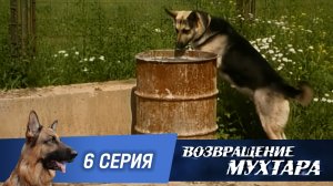«Возвращение Мухтара»: «Мат в три хода» (1 сезон. 6 серия)