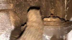 Замена заднего отбойника шкода yeti 1,4 2013