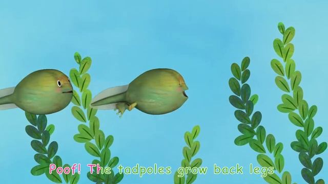 Kids Box Starters, Unit 8.7 Marie's science - Life cycles. Sing the song. смотреть онлайн