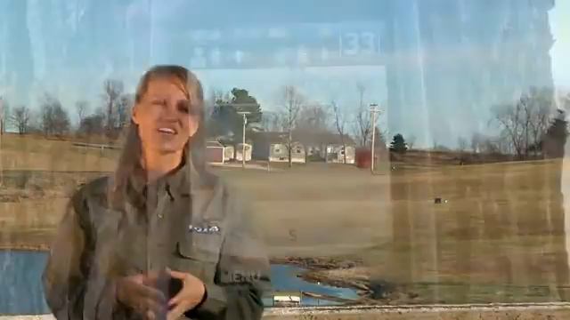 Border Patrol Pet Containment System смотреть онлайн