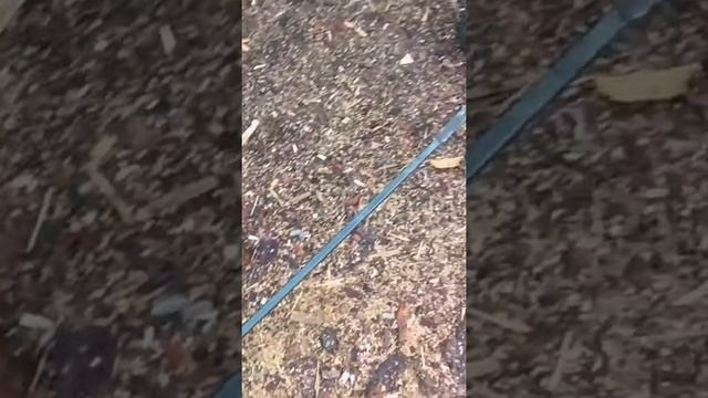 Носовая тележка для лодки ПВХ. смотреть онлайн