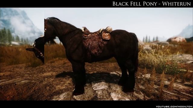 TES V - Skyrim Mods: Realistic Primitive Horse Breeds - 2k смотреть онлайн