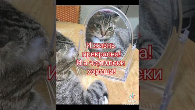 лекарство ганатон смотреть онлайн
