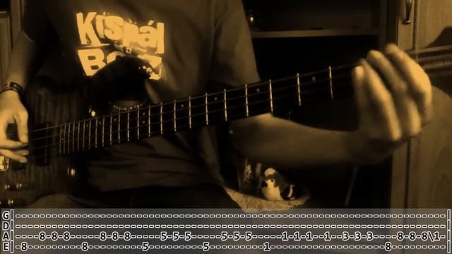 [TABS!] Bombay Bicycle Club - LUNA (Bass Cover) смотреть онлайн