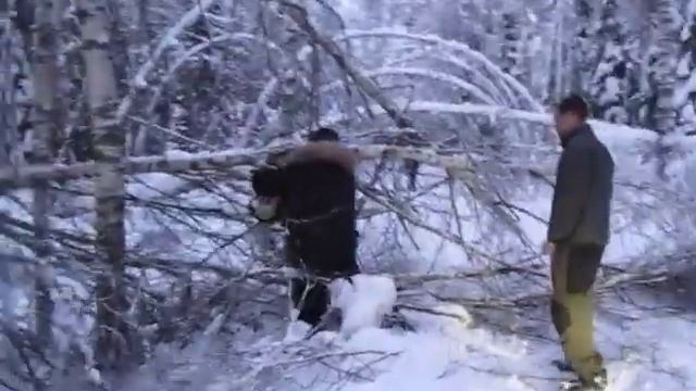 Дорога в Шатур. Разгребаем поваленные деревья. смотреть онлайн