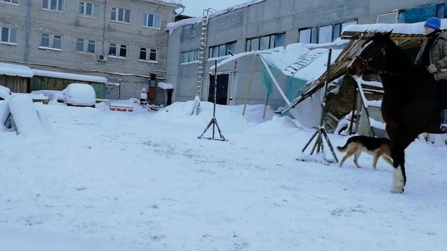 Занятие с Долькой. Упражнения на гибкость. смотреть онлайн