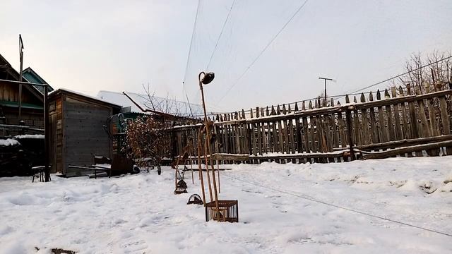 Пение реполова и ловля птиц. смотреть онлайн
