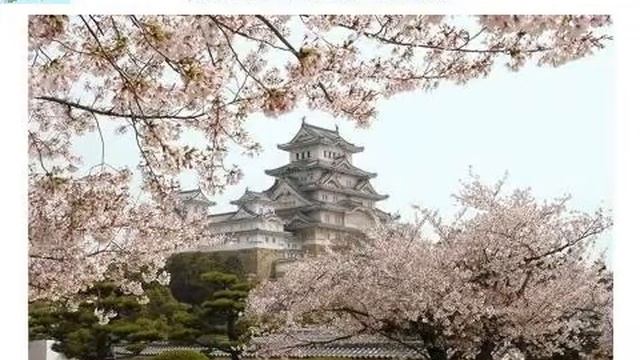 Чудеса света смотреть онлайн