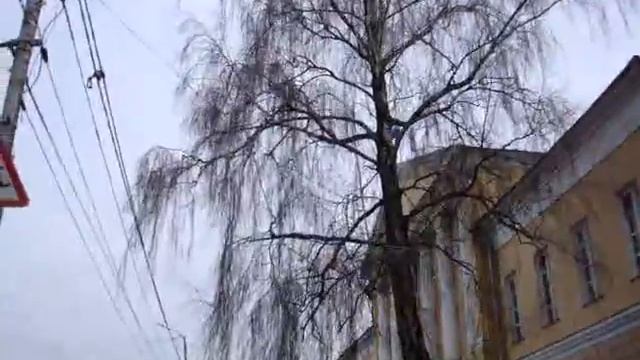 Художественная школа, покупка блендера, небольшой обзор города смотреть онлайн