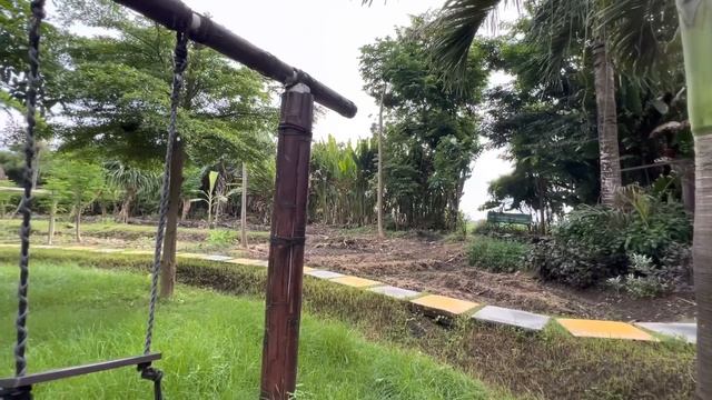 ВОТ ЭТО ШОК! Даниэла попыталась ПЕРЕЛЕЗТЬ через ЗАБОР, лишь бы добраться до львов!!! КТО ОНА??? смотреть онлайн