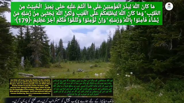 Al-Quran-ul-Kareem Surah Number 3: Al-`Imrân (The Family of Imran)
Aayat no 169 to 185 смотреть онлайн