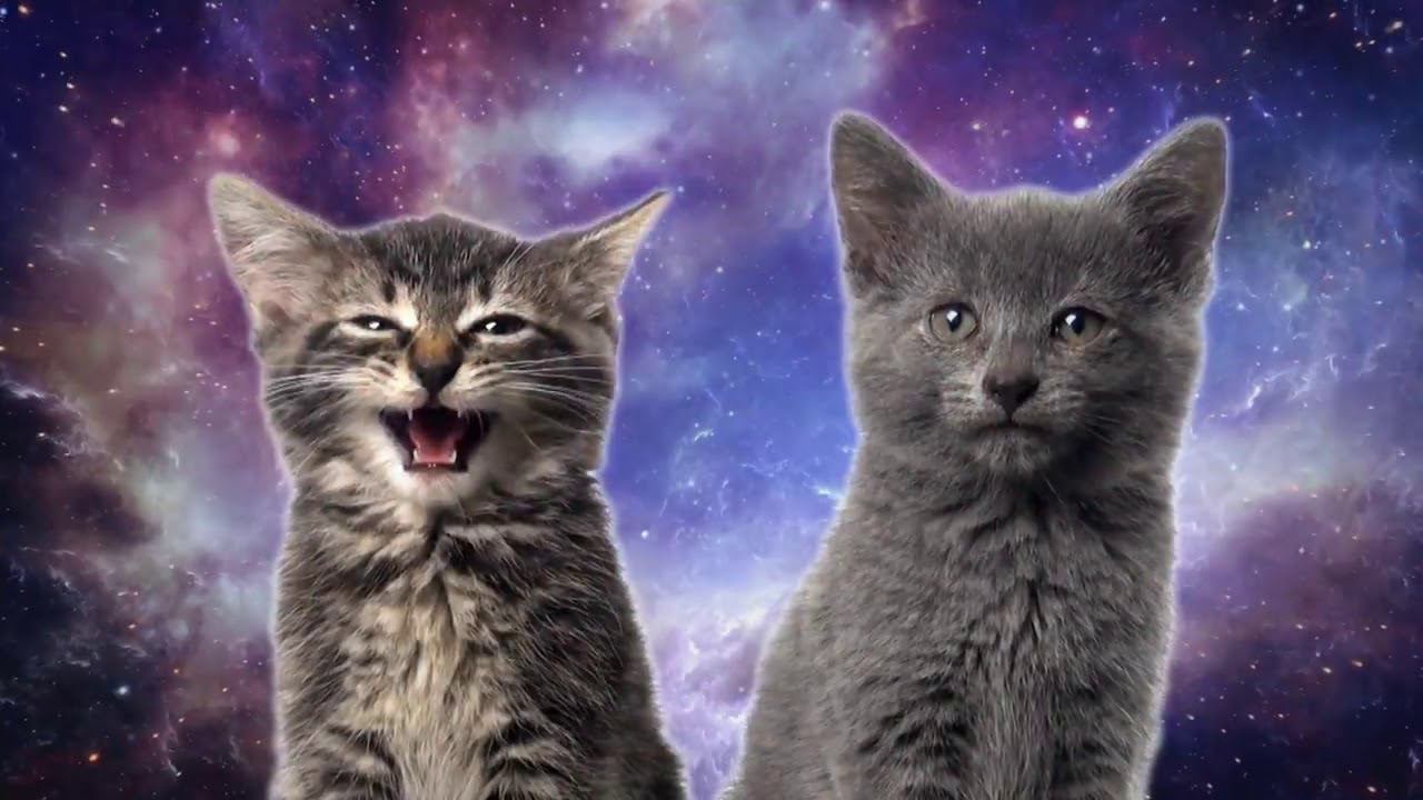 Space Cats — Magic Fly смотреть онлайн