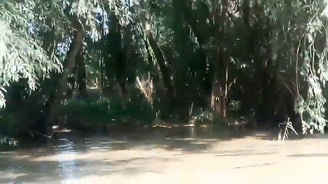 Вилково,экскурсия по Дунаю. смотреть онлайн