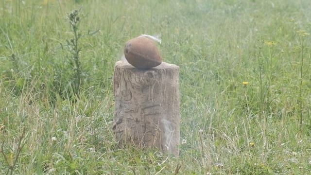 Попытка расколоть кокос петардами корсар Powerful Firecrackers Vs Coconut