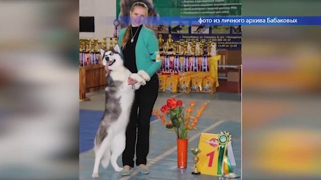 Картина маслом 15 06 2019 смотреть онлайн