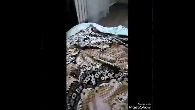 Утренняя разминка смотреть онлайн