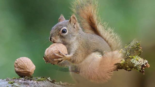 Эту музыку можно слушать вечно! Сборник невероятно красивой, завораживающей музыки для души смотреть онлайн