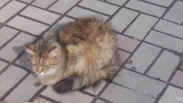 Место жительства изменить нельзя. смотреть онлайн