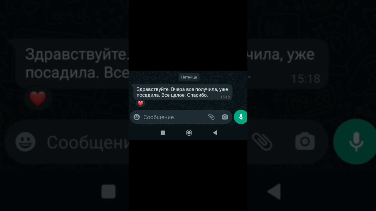 Растения почтой с гарантией! смотреть онлайн