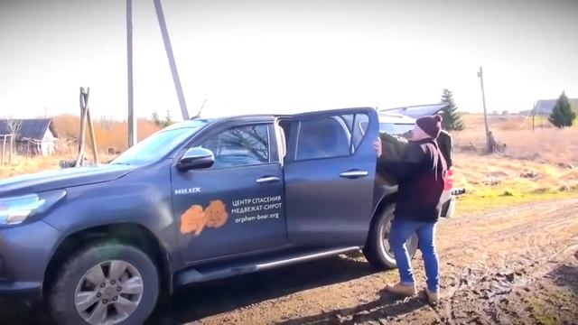 В Центр спасения медвежат в Тверской области привезли десятого медвежонка смотреть онлайн