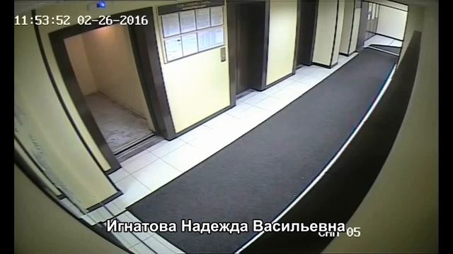 Субботина О.Р., Игнатова Н.В. и Кошелев С.И. портят стенды ТСЖ смотреть онлайн