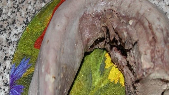 Сборник рецептов