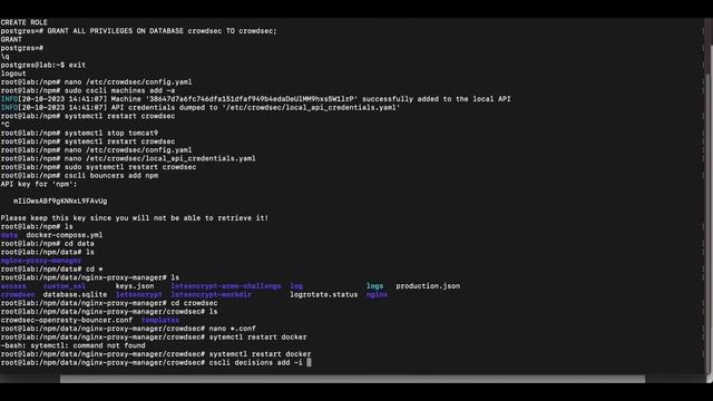Setup Crowdsec with Nginx Proxy Manager - Part 2 (Multi-server setup) смотреть онлайн