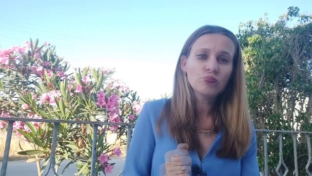 Как привезти домашнее животное на Северный Кипр