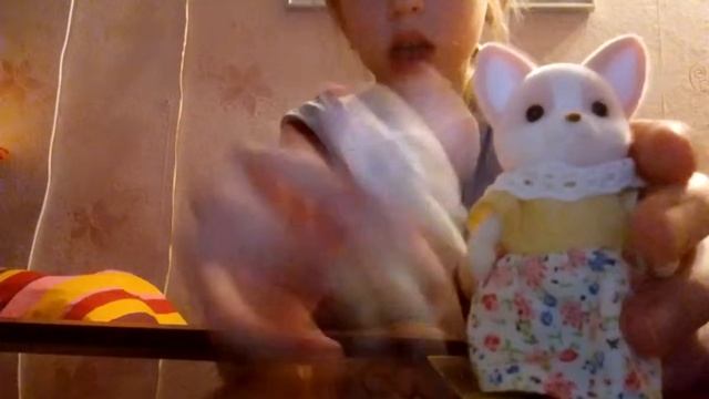 Новая семья сильванин фэмилис ,моя аллергия запущена???