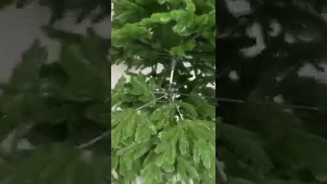 Продукция Ёлки от Белки смотреть онлайн