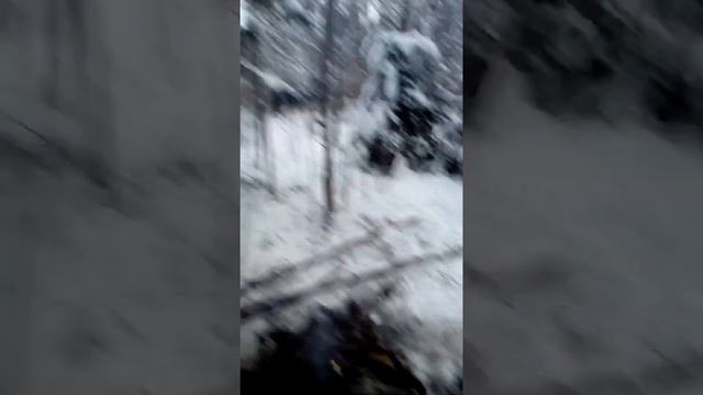 народные таланты смотреть онлайн