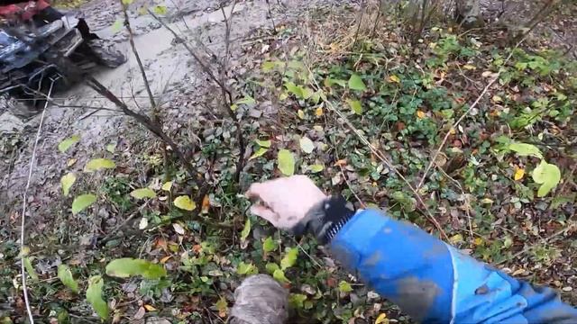 Теперь Вытаскиваем Квадрик Из Грязи / Пришлось Взять Лебетку / Покатушки на питбайке Бсе и Аполло смотреть онлайн