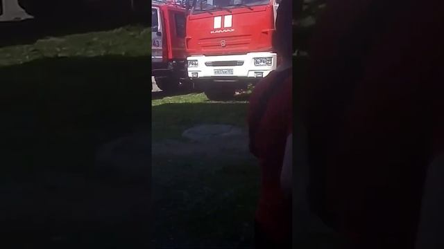 это красный жук видилитоково смотреть онлайн