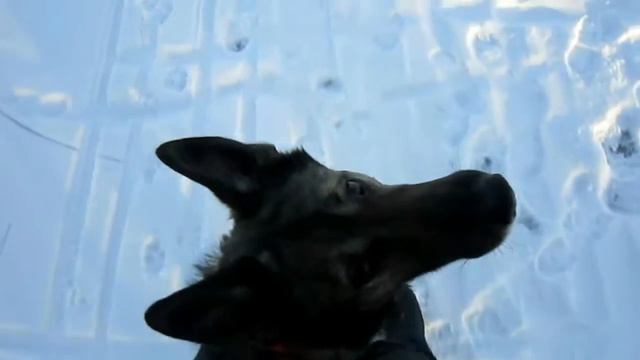 Зимнее утро 05.01.2017 смотреть онлайн