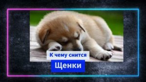 к чему снится щенок - Щенки во сне - К чему снятся щенки